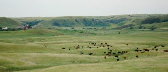 Rancher Encourages Utilizing Cost Share Programs