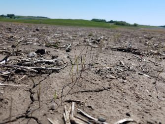 Planning for Your CRP Acres