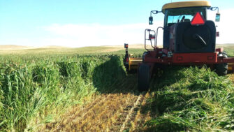 Three Factors to Consider for Next Year’s Forage Plan