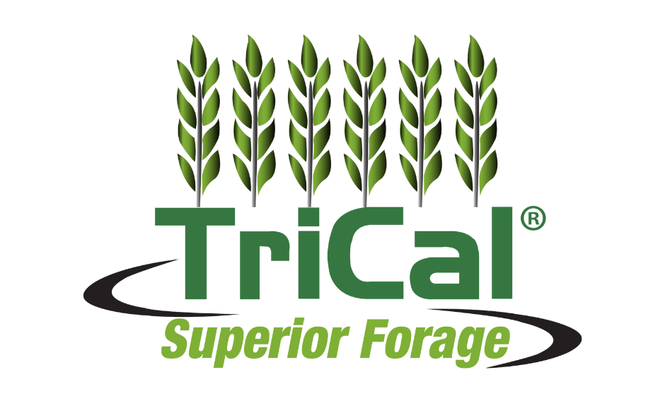 TriCal 718 - Winter Forage - Renovo Seed