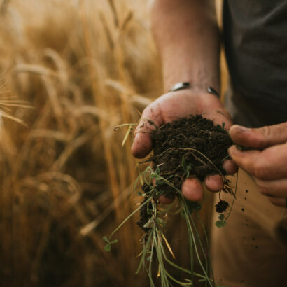 Why soil health starts with soil biology